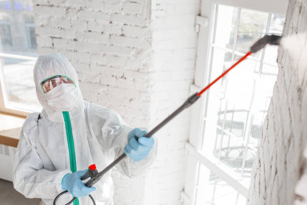 Best Industrial Mold Remediation  in Sparta, MI