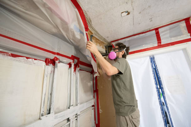 Best Air Quality Testing for Mold Spores  in Sparta, MI