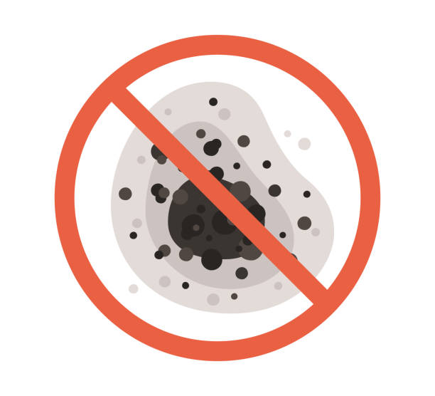Best Environmental Consulting for Mold Prevention  in Sparta, MI