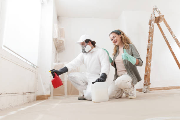 Best Real Estate Mold Inspection  in Sparta, MI