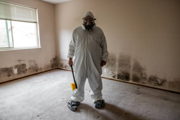 Best Residential Mold Inspection & Testing  in Sparta, MI