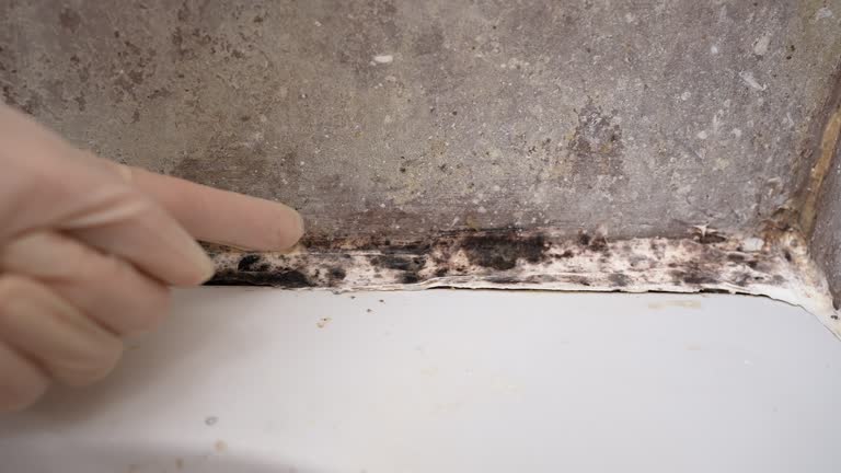 Asbestos and Lead Testing During Mold Inspection in Sparta, MI